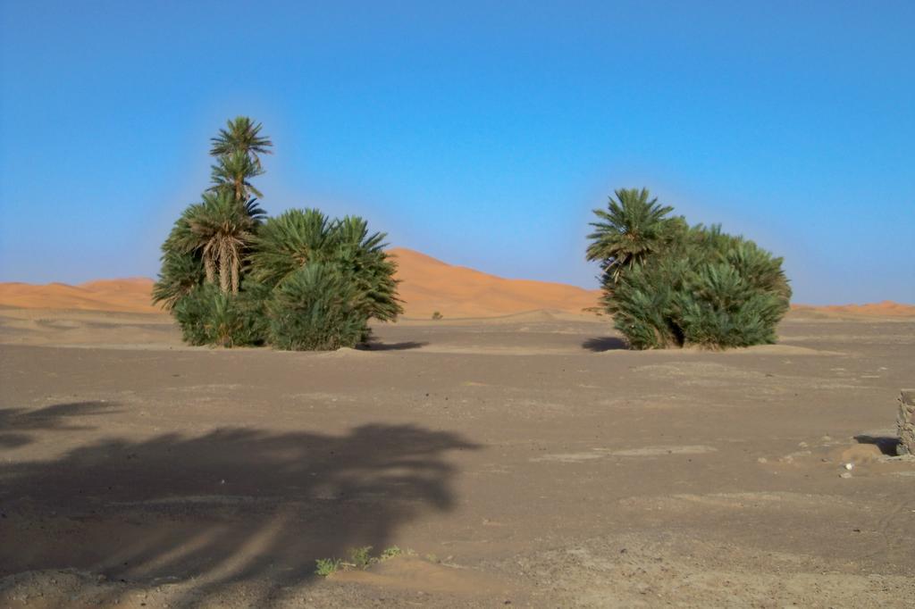 Bed and Breakfast Kasbah Tamariste Merzouga Exterior foto